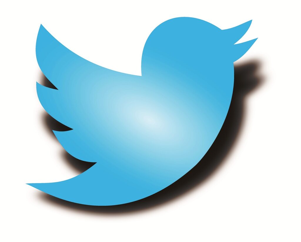 twitter logo, twitter bird, twitter shadow bird
